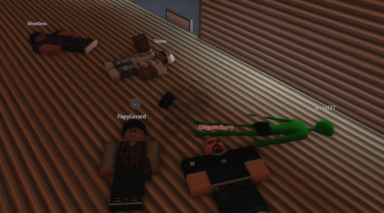 Photo prise sur le serveur GVRP FR