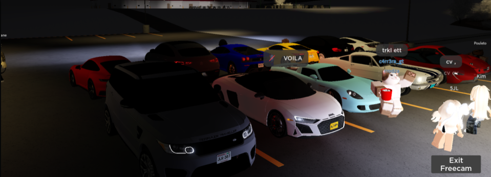 Photo prise sur le serveur GVRP FR