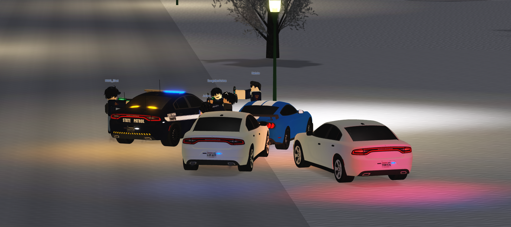 Photo prise sur le serveur GVRP FR
