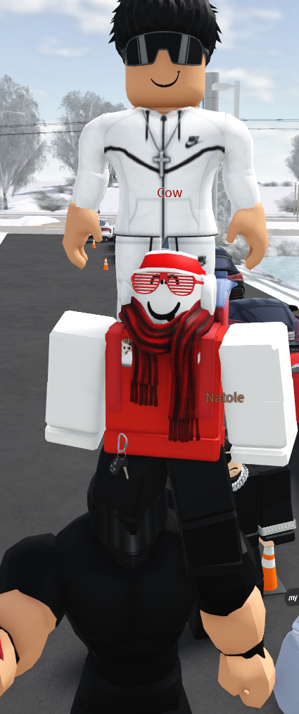 Photo prise sur le serveur GVRP FR